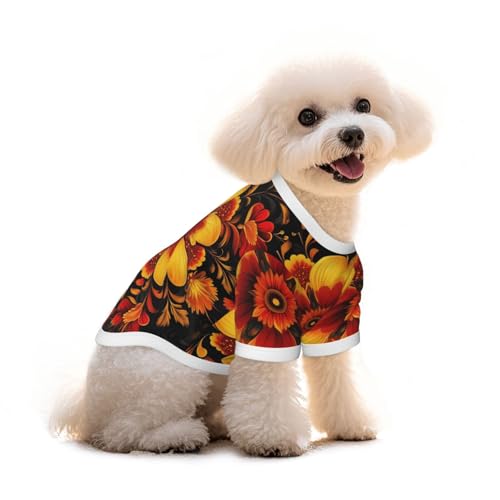 Myfsucce Hundebekleidung für kleine Hunde, bunte Blumen, schwarze Hunde-Shirts für Jungen, Mädchen, Welpen, Haustiere, Katzen, Sommer, passend für 2,9–4,5 kg Myfsucce Hundebekleidung für kleine Hunde, bunte Blumen, schwarze Hunde-Shirts für Jungen, Mädchen, Welpen, Haustiere, Katzen, Sommer, passend für 2,9–4,5 kg von Myfsucce