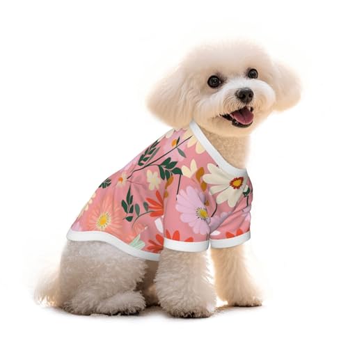 Myfsucce Hundebekleidung für kleine Hunde, buntes Gänseblümchenmuster, Hunde-Shirts für Jungen, Mädchen, Welpen, Haustiere, Katzen, Sommer, passend für 1,8–2,9 kg Myfsucce Hundebekleidung für kleine Hunde, buntes Gänseblümchenmuster, Hunde-Shirts für Jungen, Mädchen, Welpen, Haustiere, Katzen, Sommer, passend für 1,8–2,9 kg von Myfsucce