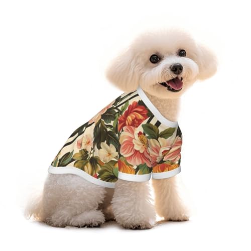 Myfsucce Hundebekleidung für kleine Hunde, gestreiftes Design, für Jungen, Mädchen, Welpen, Haustiere, Katzen, Sommer, passend für 5 - 7,3 kg Myfsucce Hundebekleidung für kleine Hunde, gestreiftes Design, für Jungen, Mädchen, Welpen, Haustiere, Katzen, Sommer, passend für 5 - 7,3 kg von Myfsucce