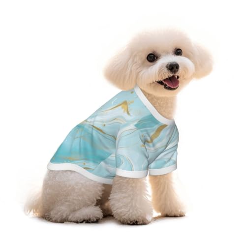 Myfsucce Hundebekleidung für kleine Hunde, kariert, für Jungen, Mädchen, Welpen, Haustiere, Katzen, Sommergröße, 1,8–2,9 kg, Hellblau Myfsucce Hundebekleidung für kleine Hunde, kariert, für Jungen, Mädchen, Welpen, Haustiere, Katzen, Sommergröße, 1,8–2,9 kg, Hellblau von Myfsucce