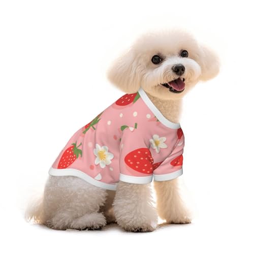 Myfsucce Hundebekleidung für kleine Hunde, niedliche Erdbeerblume, Hunde-Shirts für Jungen, Mädchen, Welpen, Haustiere, Katzen, Sommer, passend für 1,8–2,9 kg Myfsucce Hundebekleidung für kleine Hunde, niedliche Erdbeerblume, Hunde-Shirts für Jungen, Mädchen, Welpen, Haustiere, Katzen, Sommer, passend für 1,8–2,9 kg von Myfsucce
