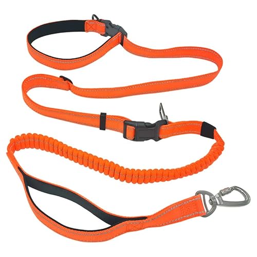 Hundeleine große Hunde, Freihändige Hundeleine für mittelgroße und große Hunde - Professionelles Geschirr mit reflektierenden Nähten zum Trainieren, Spazierengehen, Joggen Hundeleine große Hunde, Freihändige Hundeleine für mittelgroße und große Hunde - Professionelles Geschirr mit reflektierenden Nähten zum Trainieren, Spazierengehen, Joggen von Mylongingcharm