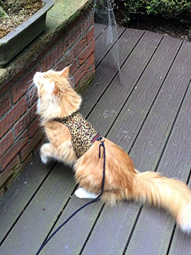Mynwood Cat Jacke/Geschirre Gepard Erwachsene Katze ausbruchsicher von Mynwood Cat Jacket
