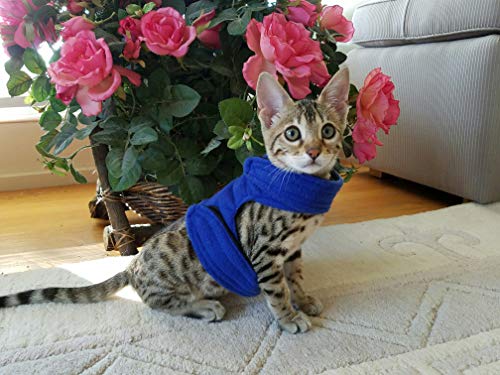Mynwood Cat Jacke/Geschirre blau Vlies Erwachsene Katze - ausbruchsicher Mynwood Cat Jacke/Geschirre blau Vlies Erwachsene Katze - ausbruchsicher von Mynwood Cat Jacket