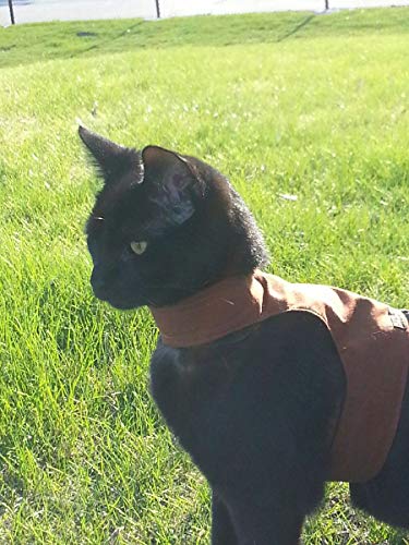Mynwood Cat Jacke / Geschirre Schokolade erwachsenen Katze ausbruchsicher von Mynwood Cat Jacket