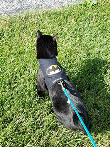 Mynwood Cat Jacke /Geschirre Batman Erwachsene Katze ausbruchsicher von Mynwood Cat Jacket