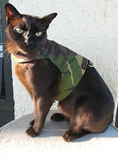 Mynwood Cat Jacke /Geschirre Grün Kampf Erwachsene Katze ausbruchsicher von Mynwood Cat Jacket