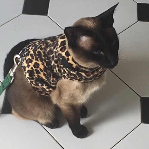 Mynwood Cat Jacke /Geschirre Leopard-Pelz- Erwachsene Katze ausbruchsicher Mynwood Cat Jacke /Geschirre Leopard-Pelz- Erwachsene Katze ausbruchsicher von Mynwood Cat Jacket