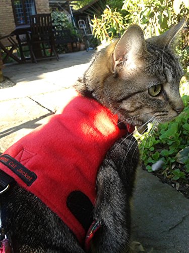 Mynwood Cat Jacke /Geschirre Rote Vlies Erwachsene Katze ausbruchsicher von Mynwood Cat Jacket