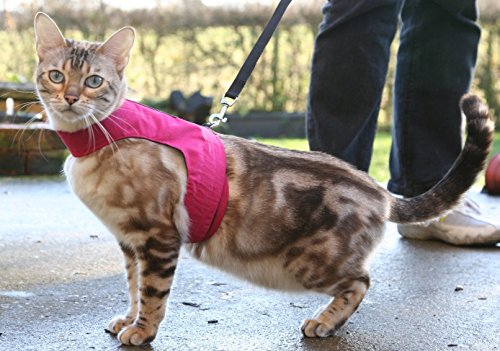 Mynwood Cat Jacke /Geschirre rosa Erwachsene Katze ausbruchsicher von Mynwood Cat Jacket