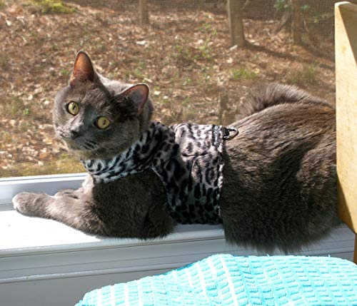 Mynwood Cat Jacket /Geschirre Soft graue Leopard-Pelz-Kätzchen bis zu 8 Monate - Ausbruchsicher von Mynwood Cat Jacket