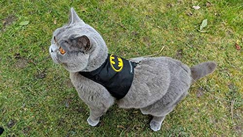 Mynwood Cat Jacket Geschirr für Kätzchen oder ausgewachsene Katzen (Batman, ausgewachsene Katze) von Mynwood Cat Jacket