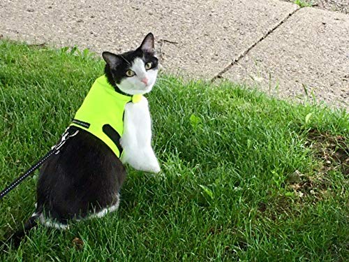 Mynwood Cat Jacket Geschirr für Kätzchen oder ausgewachsene Katzen (hohe Sichtbarkeit, gelb, ausgewachsene Katze). von Mynwood Cat Jacket