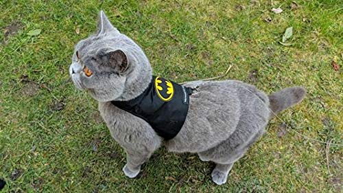 Mynwood Cat Jacket Stoff für Kätzchen oder ausgewachsene Katzen (Batman, ausgewachsene Katze). von Mynwood Cat Jacket