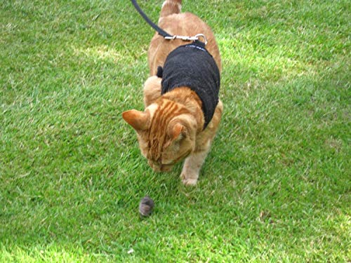 Mynwood Cat Jacket Hundegeschirr, Fleece, für Kätzchen bis 8 Monate, Schwarz von Mynwood Cat Jacket