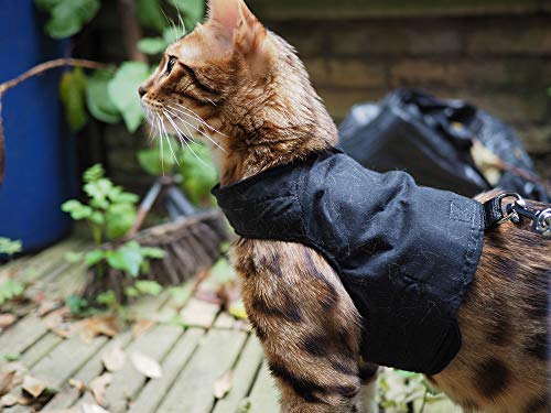 Mynwood Cat Jacket Geschirr für ausgewachsene Katzen, Schwarz von Mynwood Cat Jacket
