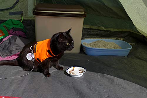 Mynwood Cat Jacket Geschirr für ausgewachsene Katzen, hohe Sichtbarkeit, Orange von Mynwood Cat Jacket