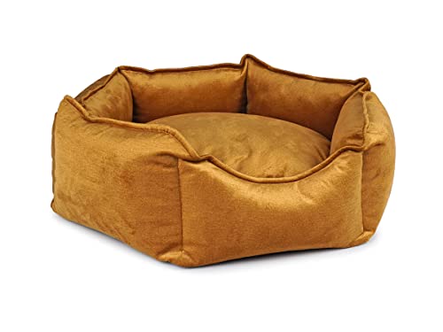 Mypado Hexo Velvet Hundebett sechseckig mit Samtbezug Hundesofa mit 6 Schnüffelecken von Mypado