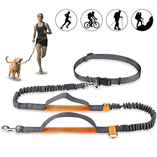 Achort Handfreie Hundeleine, Hundegürtel,Taillengürtel, Hundeleine, Koppler, Lauf- und Jogging-Leine, Gürtel mit einziehbarem Bungee, reflektierende Nähte für bis zu 110 kg Hunde (Orange) Achort Handfreie Hundeleine, Hundegürtel,Taillengürtel, Hundeleine, Koppler, Lauf- und Jogging-Leine, Gürtel mit einziehbarem Bungee, reflektierende Nähte für bis zu 110 kg Hunde (Orange) von Achort