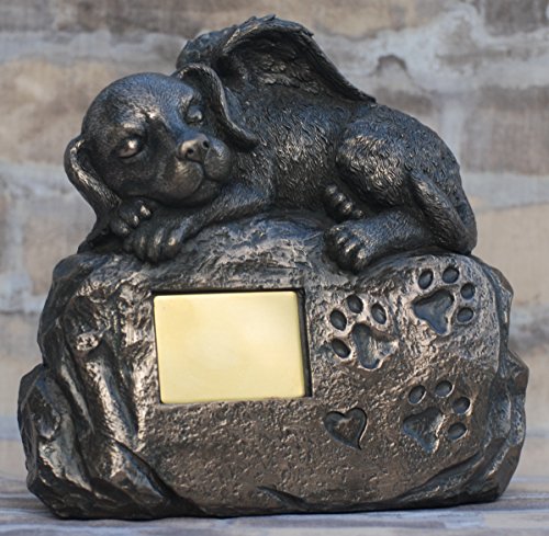 Mysticalls Hunde Urne als Hunde-Engelfigur liegt auf Fels inklusive Gravurplatte Tierurne bronziert Mysticalls Hunde Urne als Hunde-Engelfigur liegt auf Fels inklusive Gravurplatte Tierurne bronziert von Mysticalls