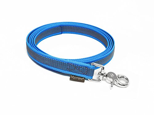 Mystique® Gummierte Leine 20mm ohne Handschlaufe Scherenkarabinerhaken blau 3m von Mystique