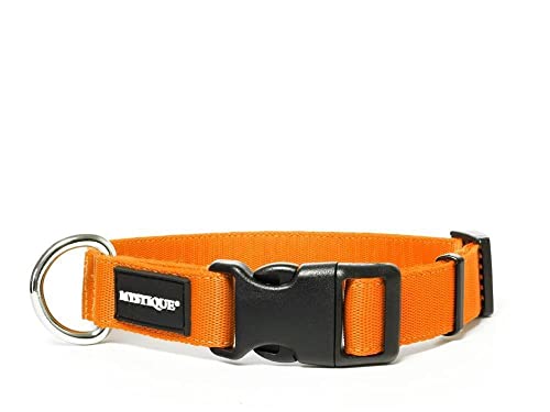 Mystique® Nylon Halsband Profi 30mm Neonorange 55-65cm von Mystique