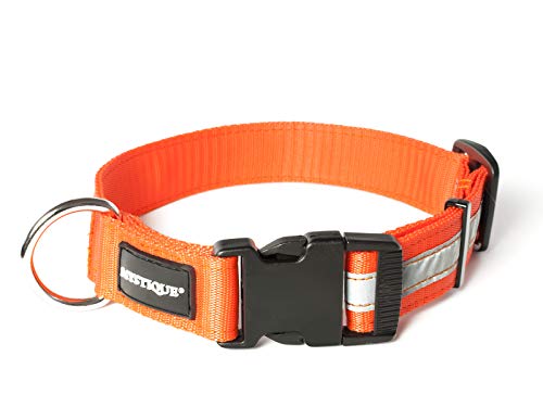 Mystique® Nylon Halsband Profi Reflex 25mm neon orange 55-65cm von Mystique
