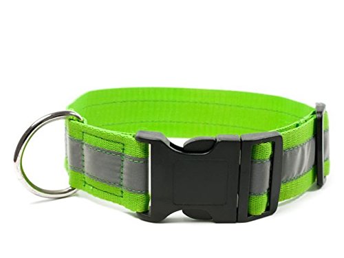 Mystique® Signalhalsband mit Klickverschluss 40mm neongrün 30-40cm von Mystique