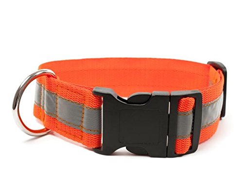 Mystique® Signalhalsband mit Klickverschluss 40mm Neonorange 50-60cm von Mystique