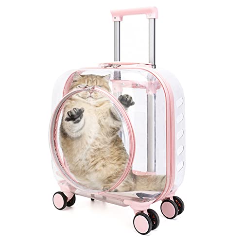 Myuilor Harte Katzentrage mit Aufklebern, Freely Breathe Reise Hundetragetasche, Fluggesellschaft Zugelassen Outdoor Katzenkiste, Katzenhütte Trolley Koffer Tragbar mit Leise Rad für Katzen und Hunde von Myuilor