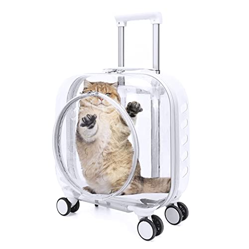 Myuilor Harte Katzentrage mit Aufklebern, Freely Breathe Reise Hundetragetasche, Fluggesellschaft Zugelassen Outdoor Katzenkiste, Katzenhütte Trolley Koffer Tragbar mit Leise Rad für Katzen und Hunde von Myuilor