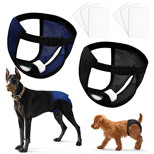 2 Pack Hundewindeln für Hündinnen Mit 16 Hygienepad,Wiederverwendbare Läufigkeitshose für Monatsblutung,verstellbarwaschbar hundewindeln,Schwarz und blau (M) von JETOP