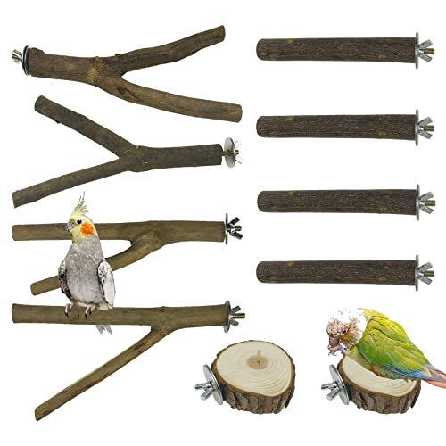 Allazone 10 Stück Vogel-Ständer aus Naturholz für Vögel, Papageien, Sitzstange, Ständer, Sitzstange, Plattform, Käfigzubehör für Papageien, Nymphensittiche, Wellensittiche von N\A
