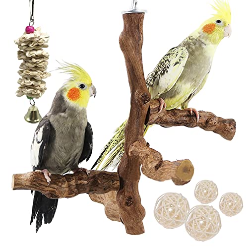 Allazone 6 Stück Sitzstangen Vögel, Vogel Kauspielzeug, Natur für Natürlicher Traubenstab Vogelsitzstange aus Naturholz Vögel Spielzeug, Holzfarbe von Allazone