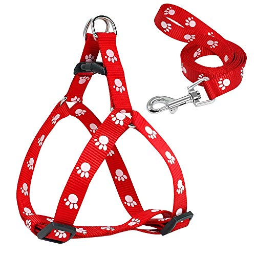 Chihuahua Yorkshire Trier · Schnauzer S, rote Gurte und Kordelzug, weiche Nylon-Leine, Haustierspaziergang Chihuahua Yorkshire Trier · Schnauzer S, rote Gurte und Kordelzug, weiche Nylon-Leine, Haustierspaziergang von N\A
