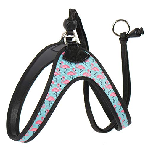 Einfacher und bequemer Hunde-Sicherheitsgurt mit Flamingo-Muster, für kleine Haustiere, Chihuahua, Shih Tzu Bullterrier, Hunde-Sicherheitsgurt 3.0 Einfacher und bequemer Hunde-Sicherheitsgurt mit Flamingo-Muster, für kleine Haustiere, Chihuahua, Shih Tzu Bullterrier, Hunde-Sicherheitsgurt 3.0 von N\A