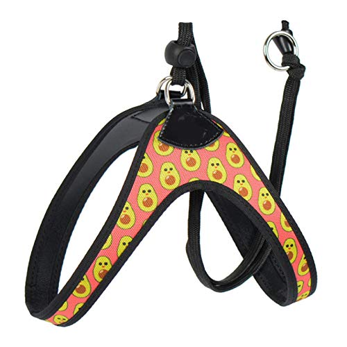 Einfacher und bequemer Hunde-Sicherheitsgurt mit Flamingo-Muster, für kleine Haustiere, Chihuahua, Shih Tzu Bullterrier, Hunde-Sicherheitsgurt 4.0 Einfacher und bequemer Hunde-Sicherheitsgurt mit Flamingo-Muster, für kleine Haustiere, Chihuahua, Shih Tzu Bullterrier, Hunde-Sicherheitsgurt 4.0 von N\A