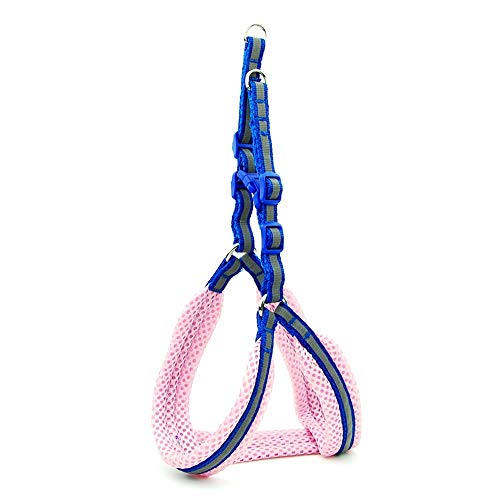 Hundegeschirr / Katzengeschirr, reflektierend, atmungsaktiv, Netzgewebe, verstellbare Halsband, Welpen, kleine Hunde, die nachts spazieren gehen Hundegeschirr / Katzengeschirr, reflektierend, atmungsaktiv, Netzgewebe, verstellbare Halsband, Welpen, kleine Hunde, die nachts spazieren gehen von N\A