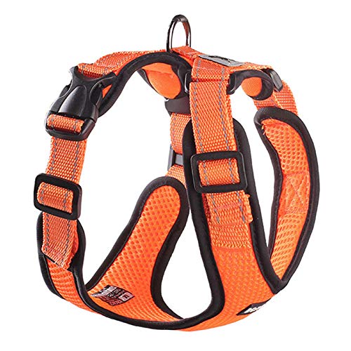 Hundegeschirr ohne Ziehen, atmungsaktiv, reflektierend, für kleine Hunde, verstellbar, für Haustiere, Chihuahua, Mops, Größe XL, Orange Hundegeschirr ohne Ziehen, atmungsaktiv, reflektierend, für kleine Hunde, verstellbar, für Haustiere, Chihuahua, Mops, Größe XL, Orange von N\A