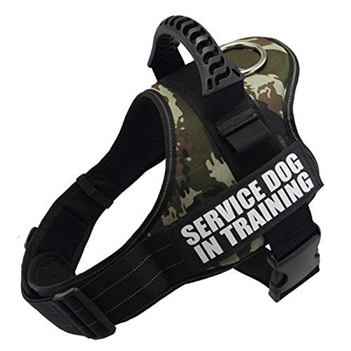 Hundetuch, Nylon, reflektierend, Weste, Schlinge, Größe XS-XXL, für kleine und große Hunde, Chihuahua, Husky, Bulldogge, Katzengeschirr mit Leine, Hundezubehör, Größe XL Hundetuch, Nylon, reflektierend, Weste, Schlinge, Größe XS-XXL, für kleine und große Hunde, Chihuahua, Husky, Bulldogge, Katzengeschirr mit Leine, Hundezubehör, Größe XL von N\A