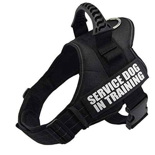 Kleine Hunde Chihuahua Hund Husky Pitbull Hund Katze Sling Leash Hundebedarf XXL Hundetuch Nylon Reflektierende Weste Sling XS-XXL Kleine Hunde Chihuahua Hund Husky Pitbull Hund Katze Sling Leash Hundebedarf XXL Hundetuch Nylon Reflektierende Weste Sling XS-XXL von N\A