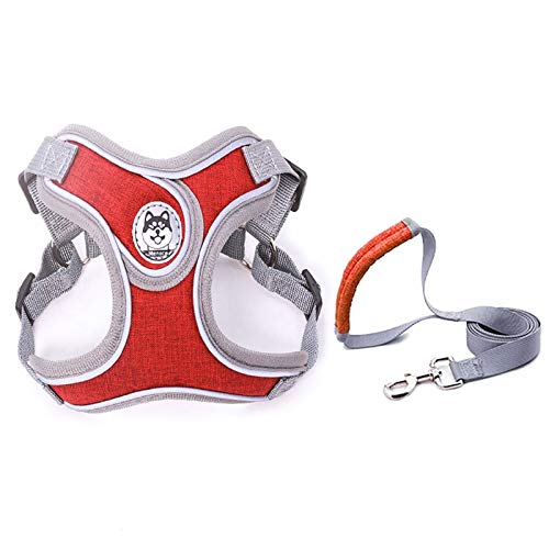 Little Schnauzer Haustier Katze Walking Training Kit Chihuahua L Rot ohne reflektierende Welpenleine und Halsband von N\A