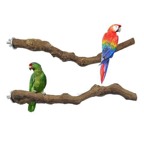 Allazone 2 Stück Sitzstangen Vögel, Naturholz Sitzstangen Natürlicher Traubenstab Sitzstangen für Vögel, Vögel Spielzeug Vogel Papagei Schaukel Spielzeug von Allazone