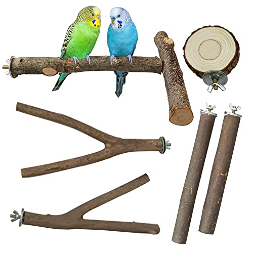 Allazone 6 Stück Sitzstangen Vögel, T-Form Naturholz Sitzstangen Natürlicher Sitzstangen für Vögel Holz, Vögel SpielzeugVögel Papagei Schaukel Spielzeug Allazone 6 Stück Sitzstangen Vögel, T-Form Naturholz Sitzstangen Natürlicher Sitzstangen für Vögel Holz, Vögel SpielzeugVögel Papagei Schaukel Spielzeug von Allazone