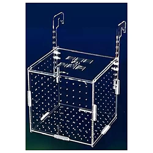 NA Aquarium Isolation Box Aquary Tank Small Fry Zuchtbox Transparent Acryl Single Grid Doppelgitter Aquarium Liefert,Hook25x15x15cm von N\A