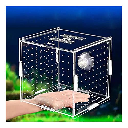 NA Aquarium Isolation Box Aquary Tank Small Fry Zuchtbox Transparent Acryl Single Grid Doppelgitter Aquarium Liefert,Sucker10x10x10cm von N\A