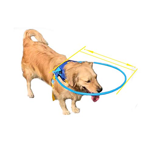Pet Safe Halo Geschirr für Blinde Hunde Kunststoff Schutzweste Ring für Hunde mit kranken Augen verhindern Kollision Weiche Schutzweste Ring von N\A