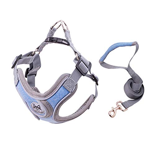 Reflektierende Hundeleine und Halsband für Schnauzer, Haustier, Katze, Spazierengehen, Training, Chihuahua, L, Blau Reflektierende Hundeleine und Halsband für Schnauzer, Haustier, Katze, Spazierengehen, Training, Chihuahua, L, Blau von N\A