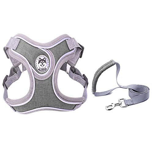 Reflektierende Hundeleine und Halsband für kleine Schnauzer, Haustiere, Katzen, Spaziergänge, Trainingszubehör, Chihuahua, Größe M, Grau von N\A