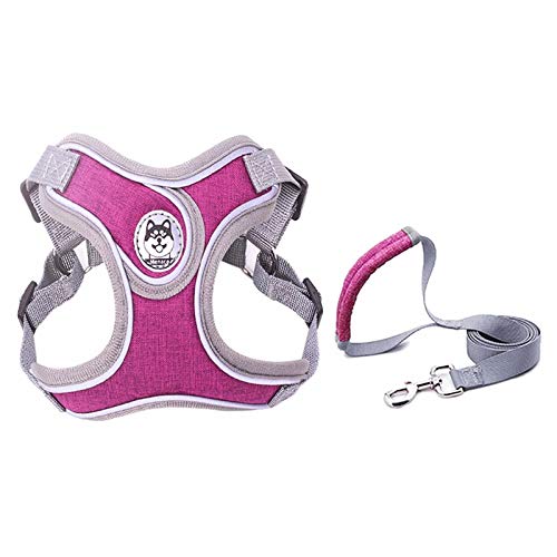 Reflektierendes Hunde-Mieder mit Halsband für kleine Hunde, Schnauzer, Haustier, Katze, Spazierengehen, Trainingszubehör, Chihuahua, L, Violett Reflektierendes Hunde-Mieder mit Halsband für kleine Hunde, Schnauzer, Haustier, Katze, Spazierengehen, Trainingszubehör, Chihuahua, L, Violett von N\A
